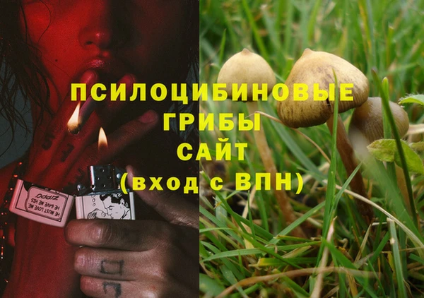 марки nbome Корсаков
