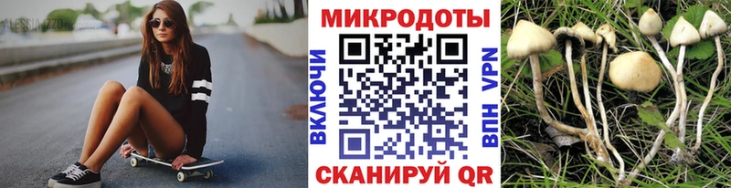Галлюциногенные грибы GOLDEN TEACHER  Купить  Ядрин 